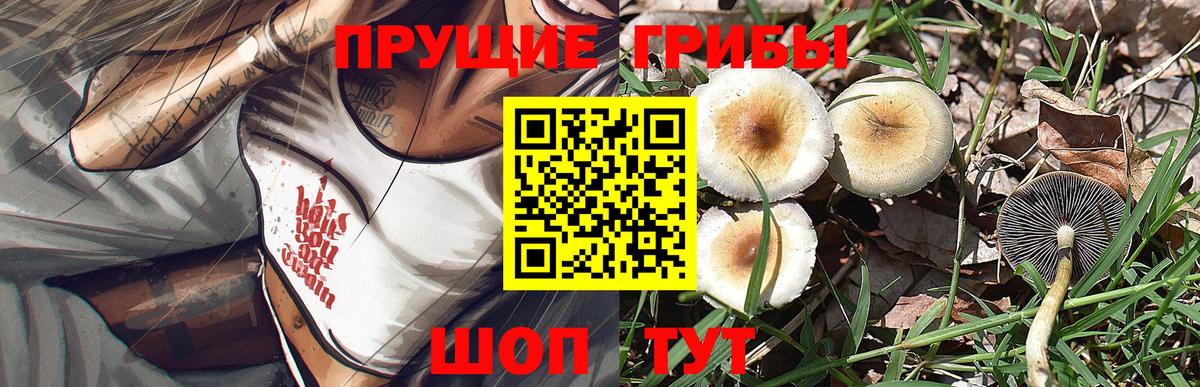 Псилоцибиновые грибы Magic Shrooms  Вход с VPN  Дубна 